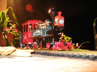 Image of Accucraft Fort Wilderness engine