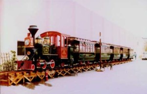 Image of Fort Wilderness train at MAPO
